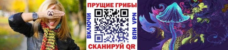 Галлюциногенные грибы MAGIC MUSHROOMS  kraken ONION  Верея 